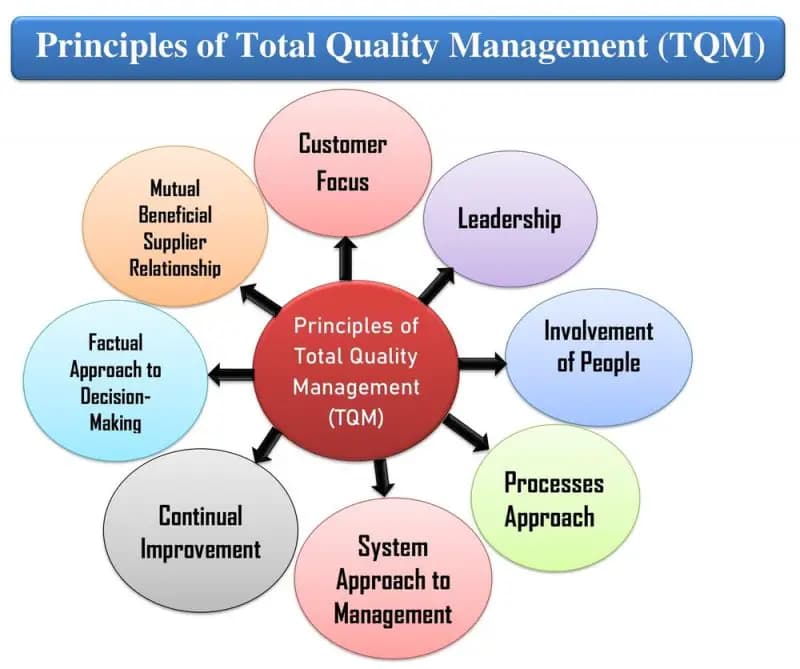 Fact Check: Are TQM principles fundamental principles of Total Quality Management?