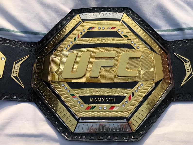 Fact Check: Are UFC belts real gold?