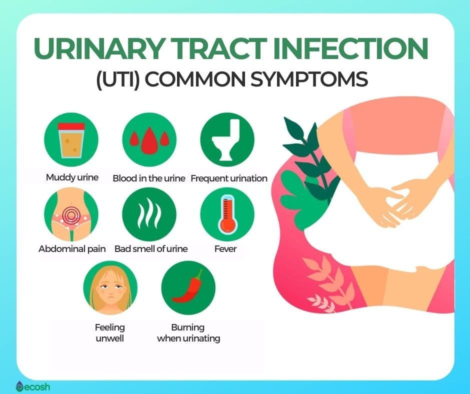 Fact Check: Are UTIs curable?