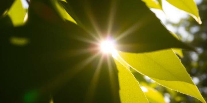 Fact Check: Are UV lights bad for you?