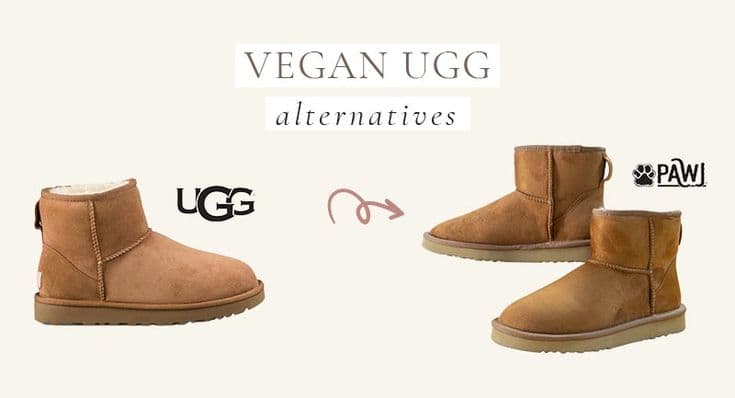 Fact Check: Are Uggs vegan?