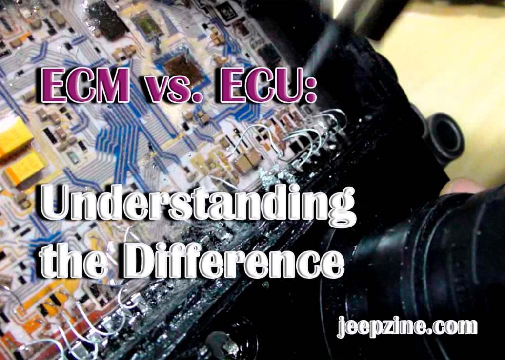 Fact Check: Are VS Ecu?