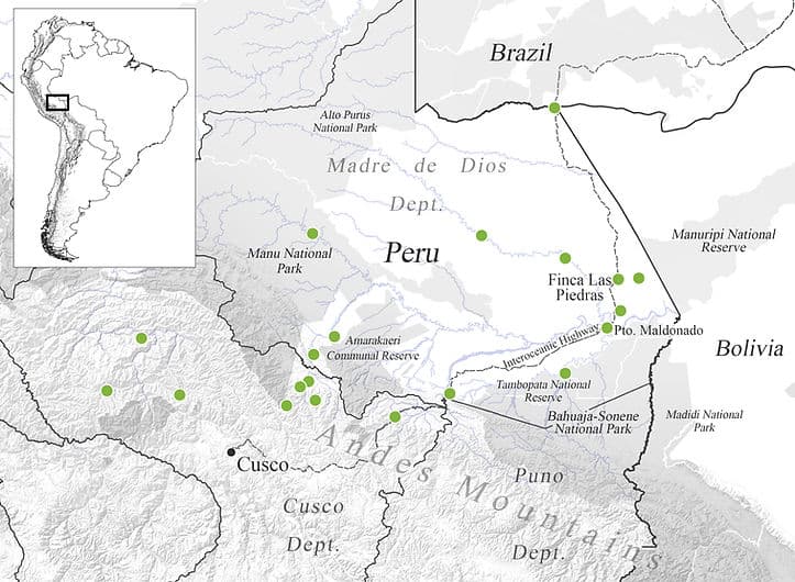 Fact Check: Are VS Peru?