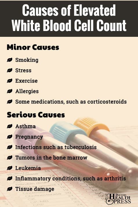 Fact Check: Are WBC elevated in cancer?