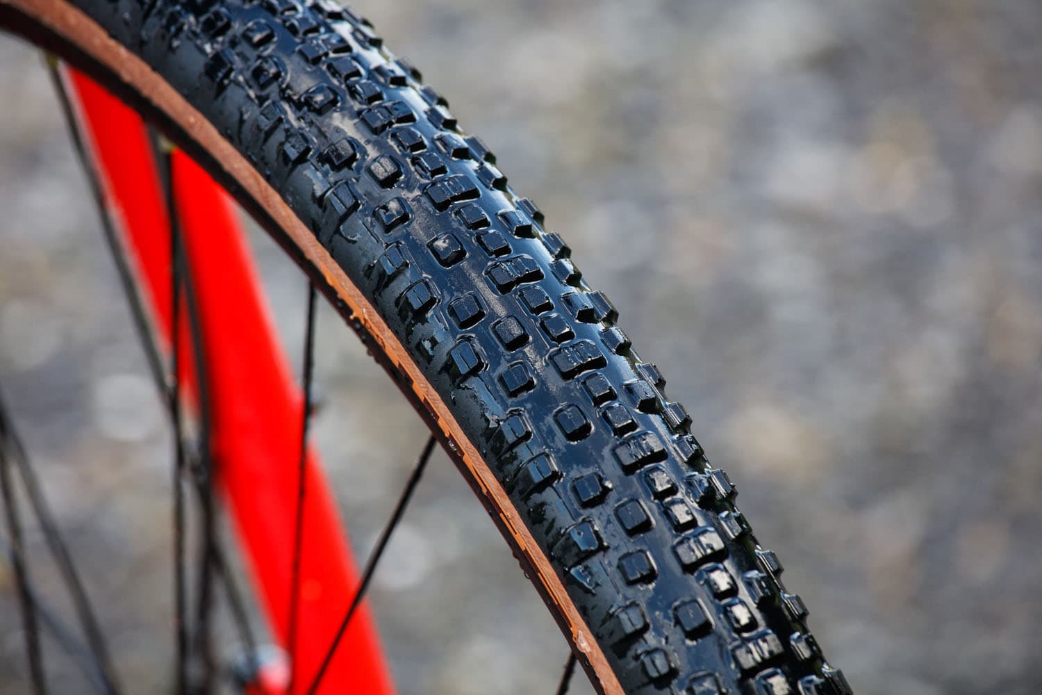 Fact Check: Are WTB tires good?