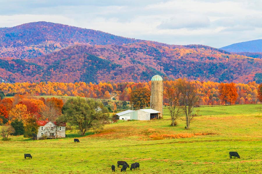 Fact Check: Are WV farmers losing their farms?