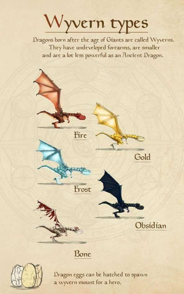 Fact Check: Are Wyverns a type of dragon?