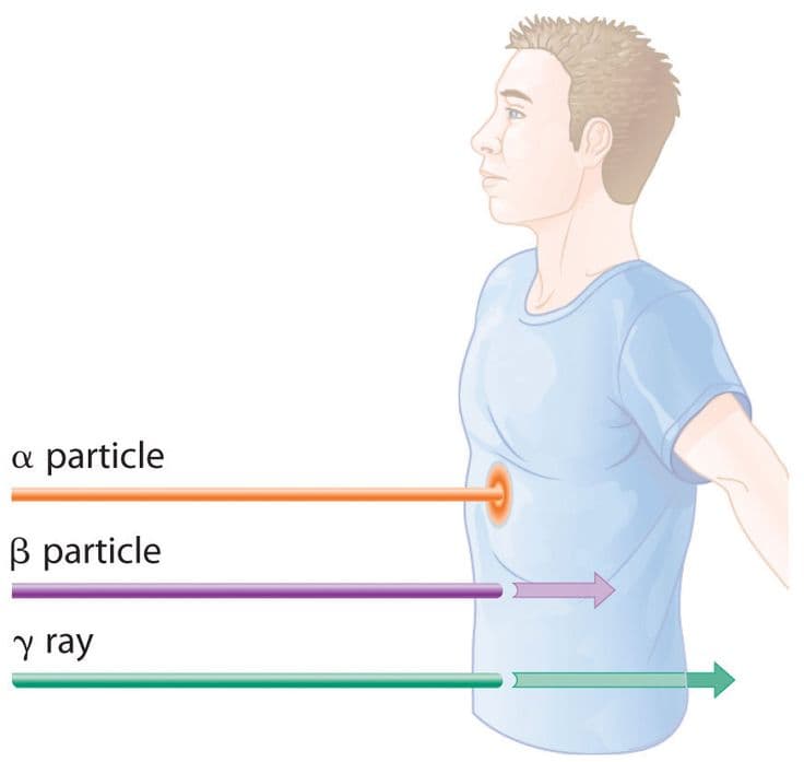 Fact Check: Humans emit gamma rays