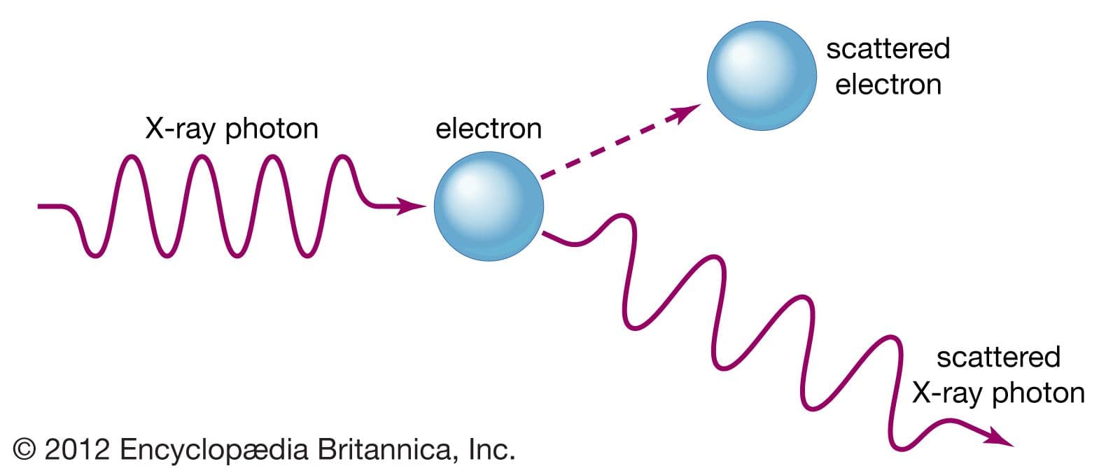 Fact Check: Are X-rays photons?