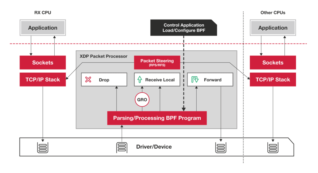 Fact Check: Are XDP reliable?