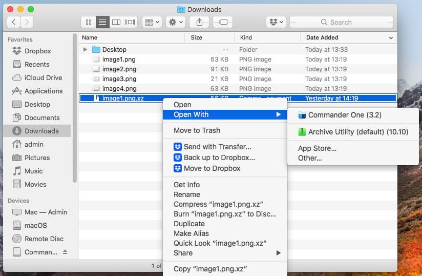 Fact Check: Are XZ files files with a specific file extension?