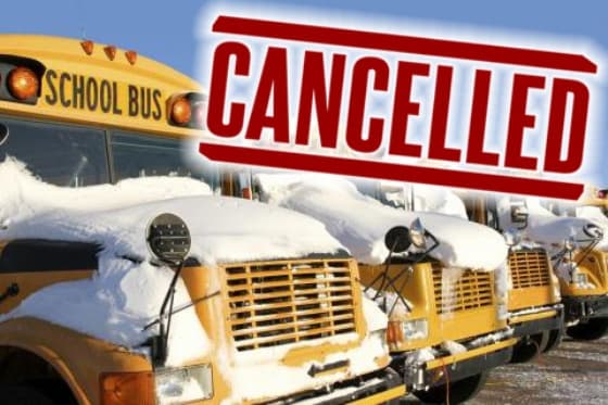 Fact Check: Are YCDSB buses cancelled today?