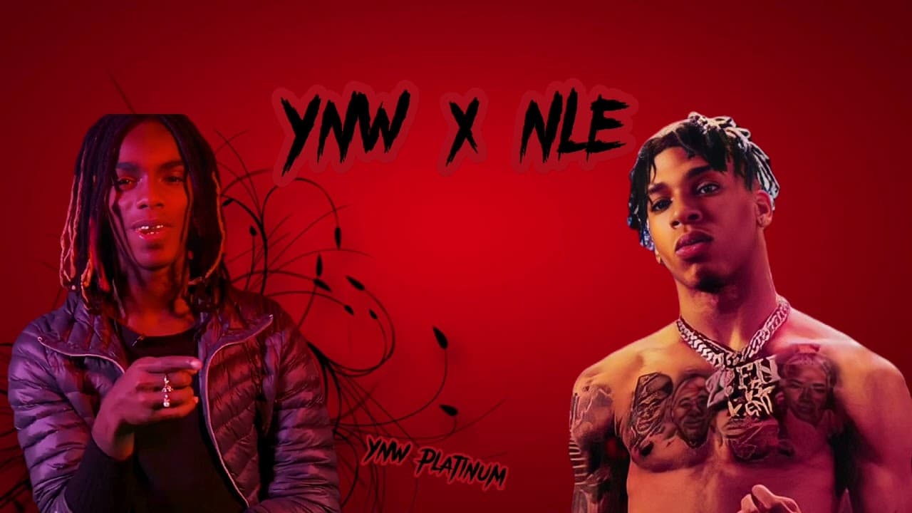 Fact Check: Are YNW Melly and NLE Choppa friends?