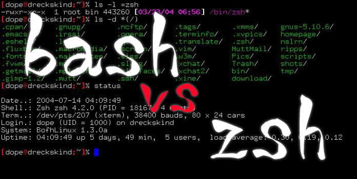 Fact Check: Are ZSH and Bash the same?