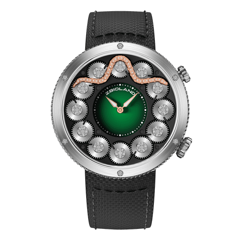 Fact Check: Are Zbioland watches good?