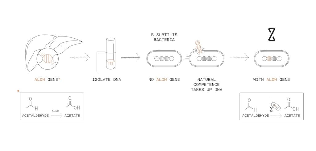 Fact Check: Are Zbiotics legit?