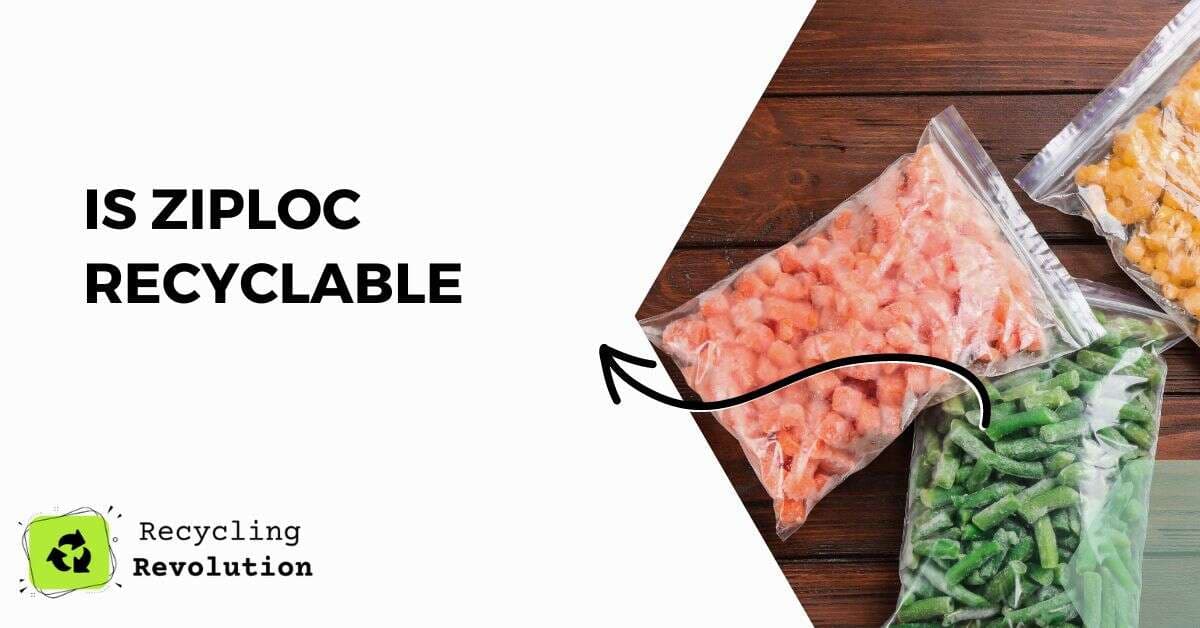 Fact Check: Are Ziploc bags recyclable?