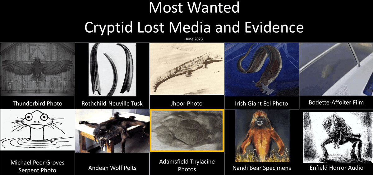 Fact Check: Is there any evidence of cryptids?