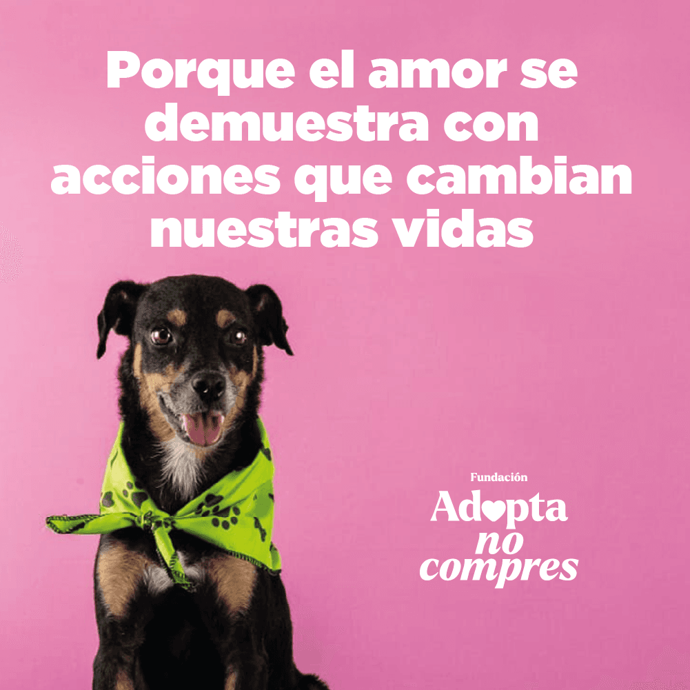 Fact Check: Are adopta y rescata?