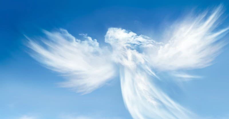 Fact Check: Are angels real?