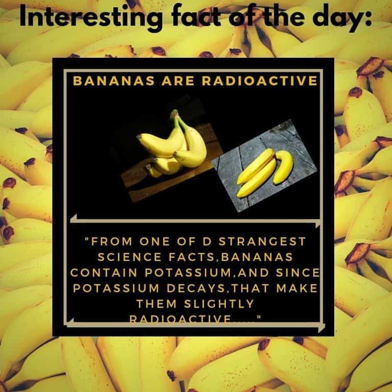 Fact Check: Are bananas radioactive?