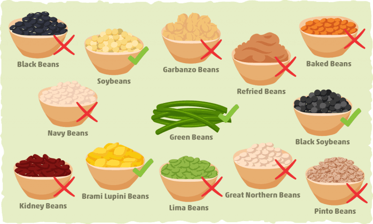 Fact Check: Are beans carbs?