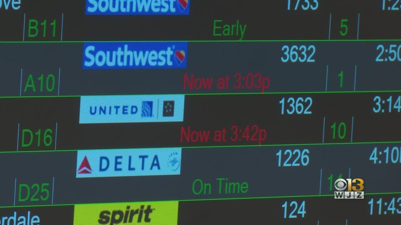Fact Check: Are bwi flights cancelled?
