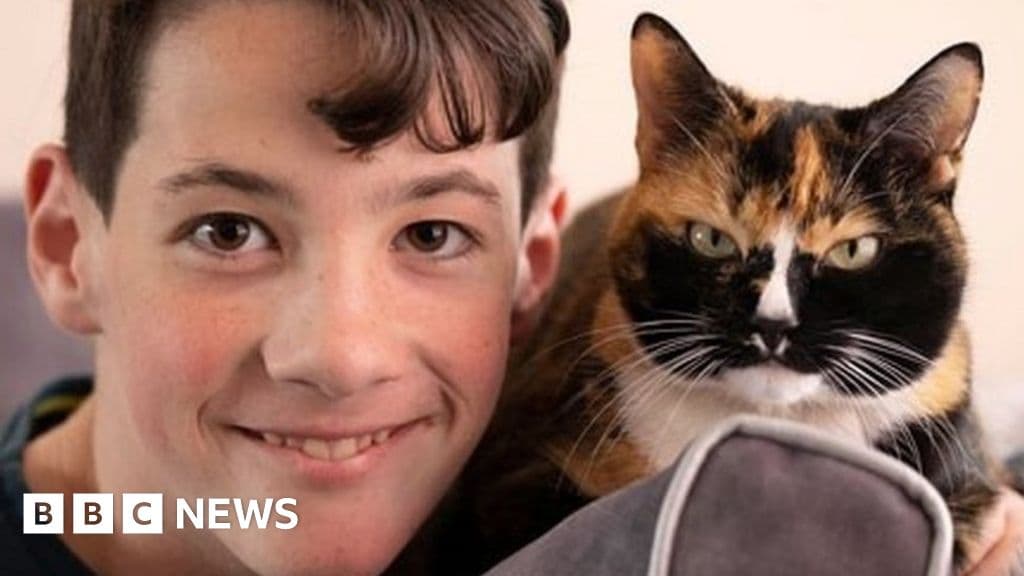 Fact Check: Are cats autistic?