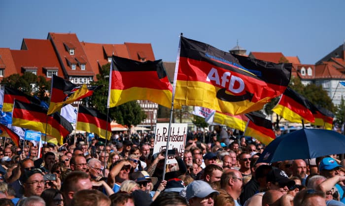 Fact Check: AfD is a far-right germany party who has connections with Russia.