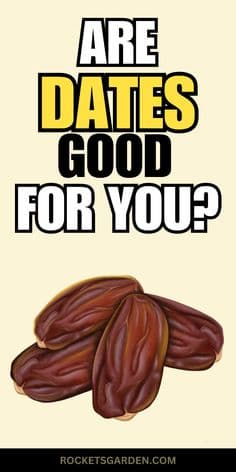 Fact Check: Are dates good for you?