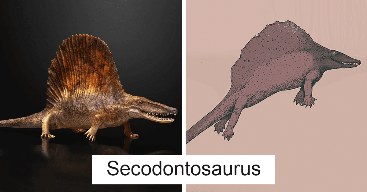 Fact Check: Are dinosaurs animals?