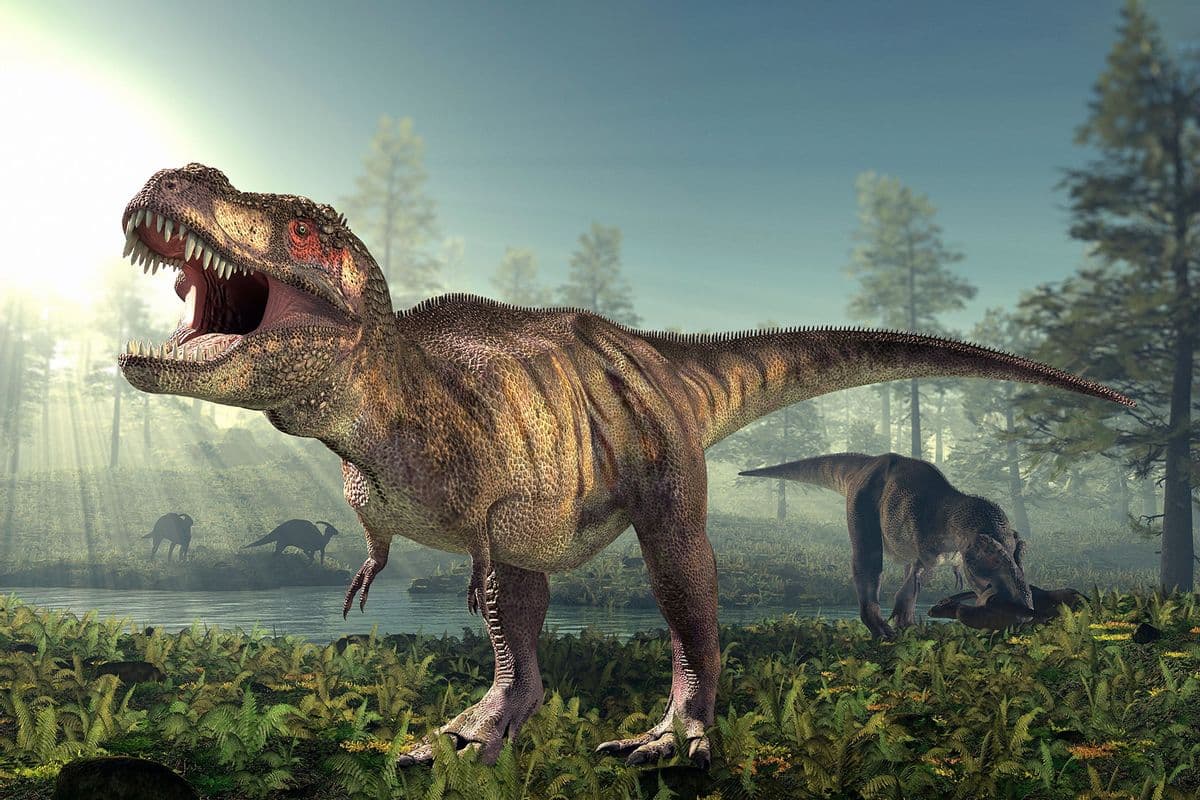 Fact Check: Are dinosaurs real?