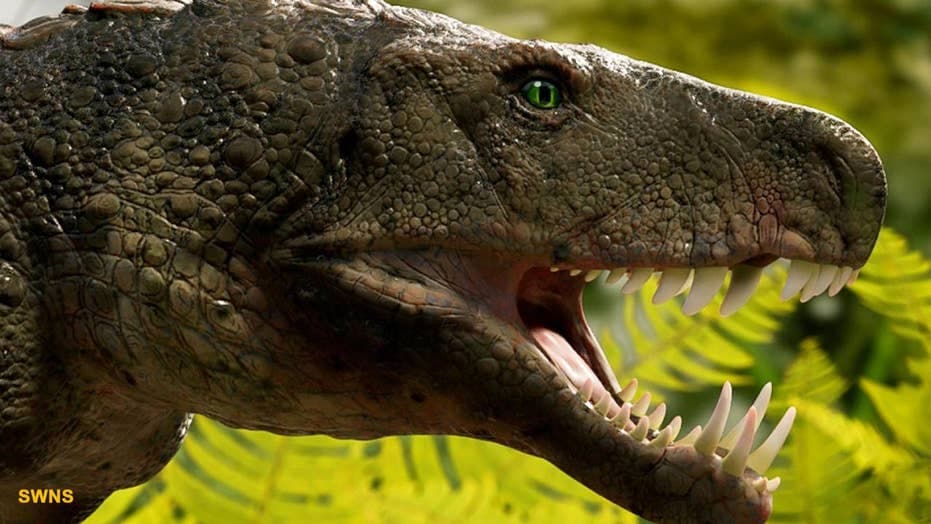 Fact Check: Are dinosaurs reptiles?