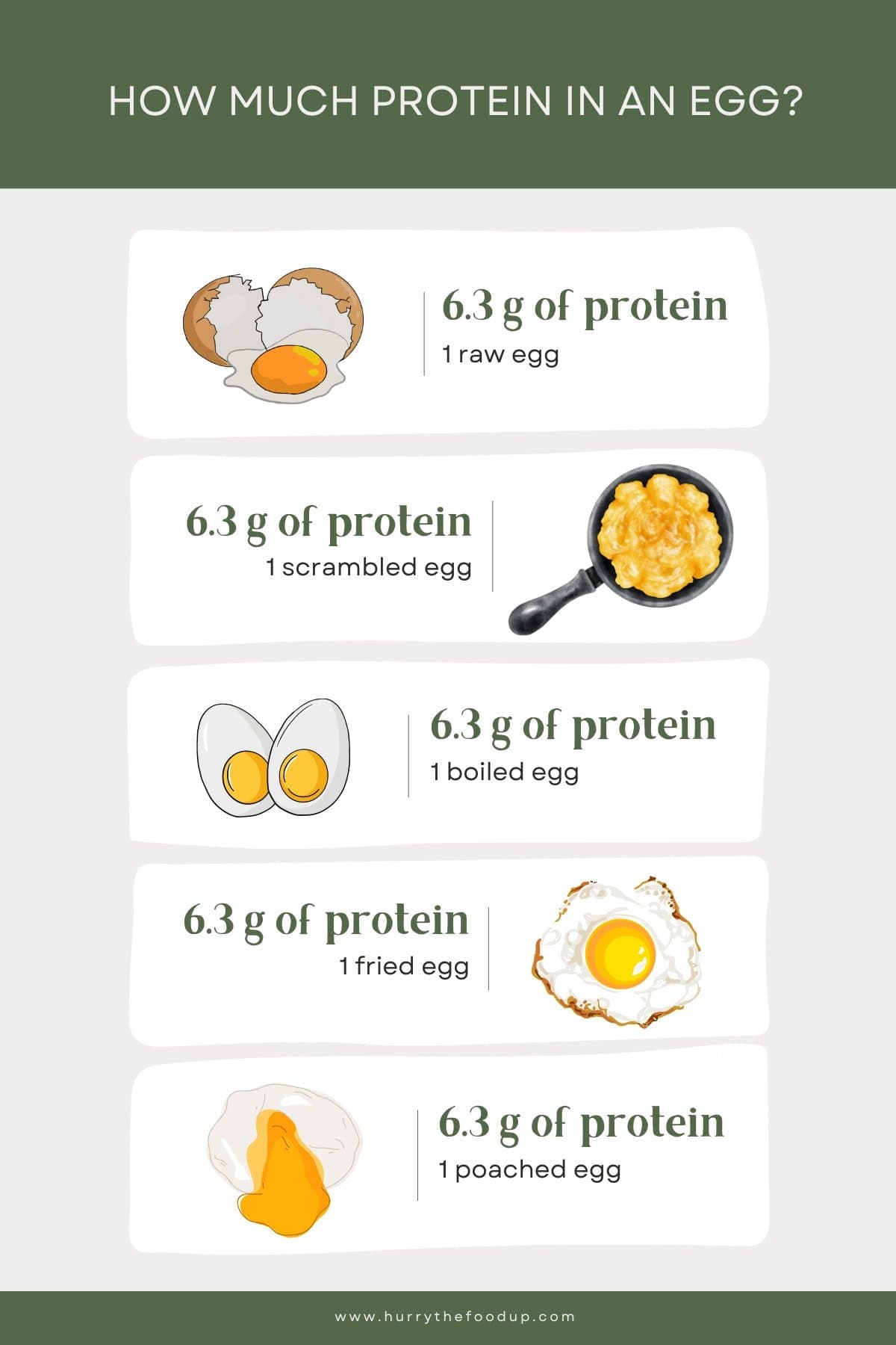 Fact Check: Are eggs protein?