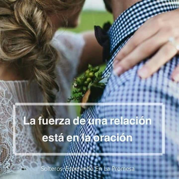 Fact Check: Are en una oración?