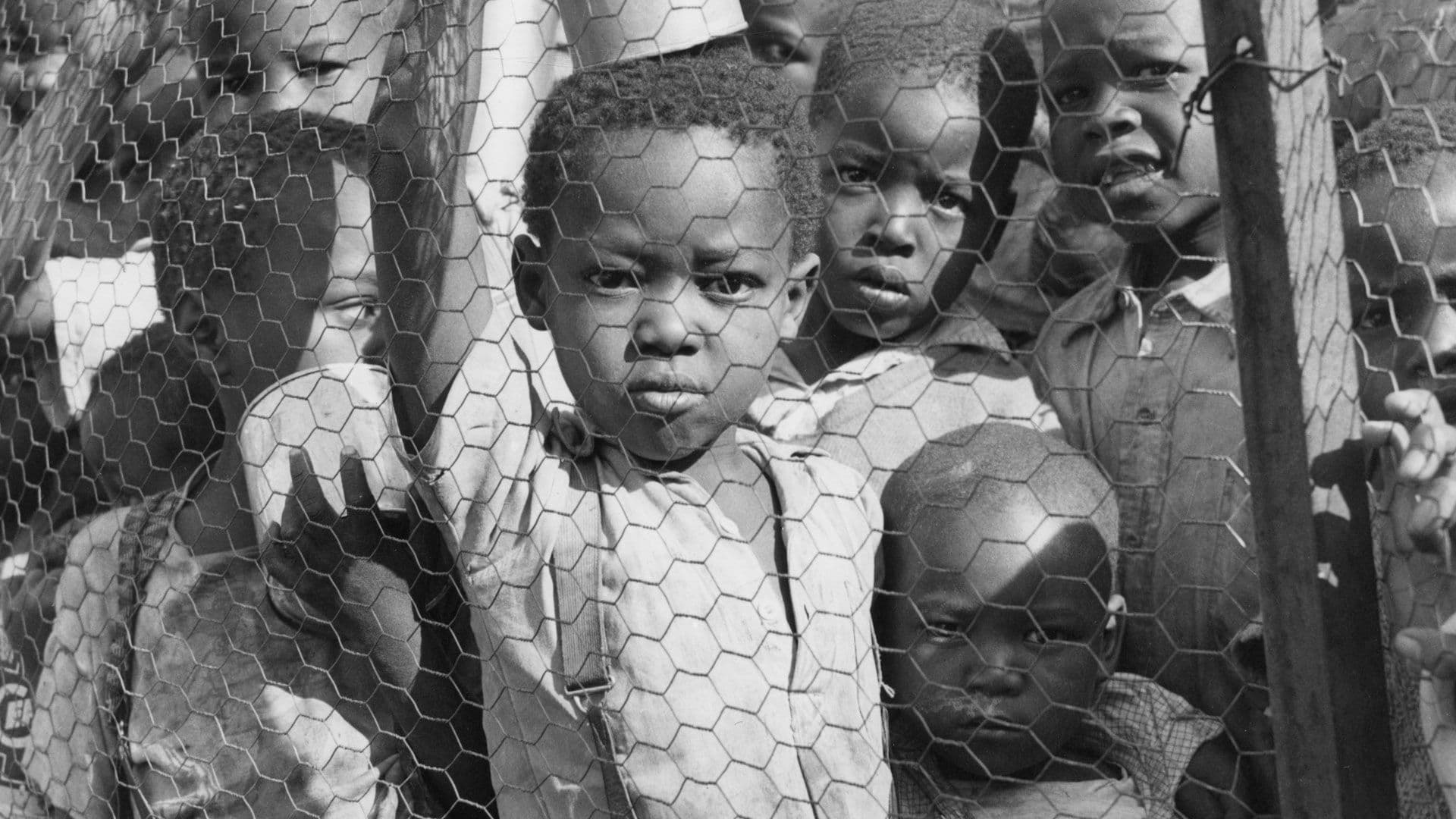 Fact Check: Are black people living only in africa?