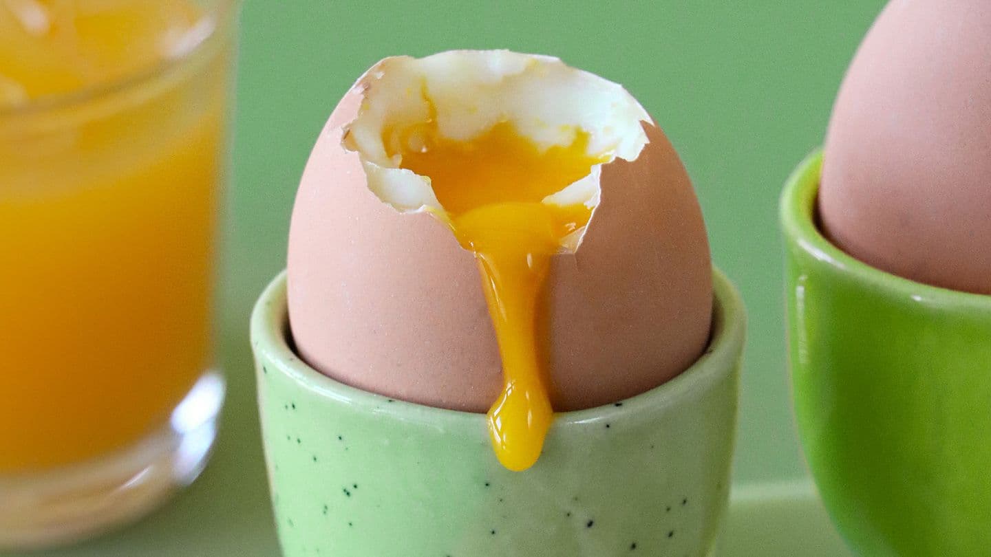 Fact Check: Are eggs safe to eat bird flu