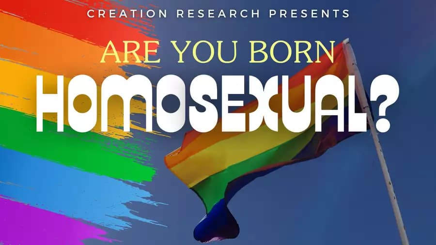 Fact Check: Are people born gay 