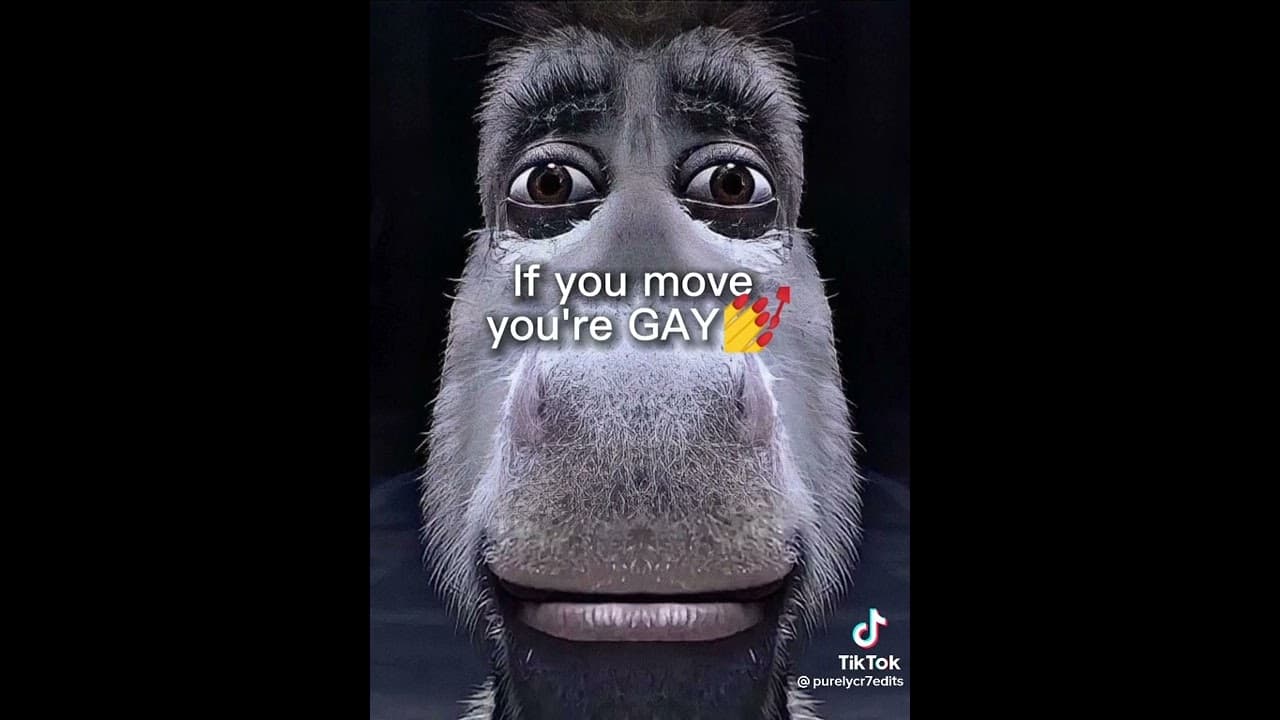 Fact Check: Are you gay