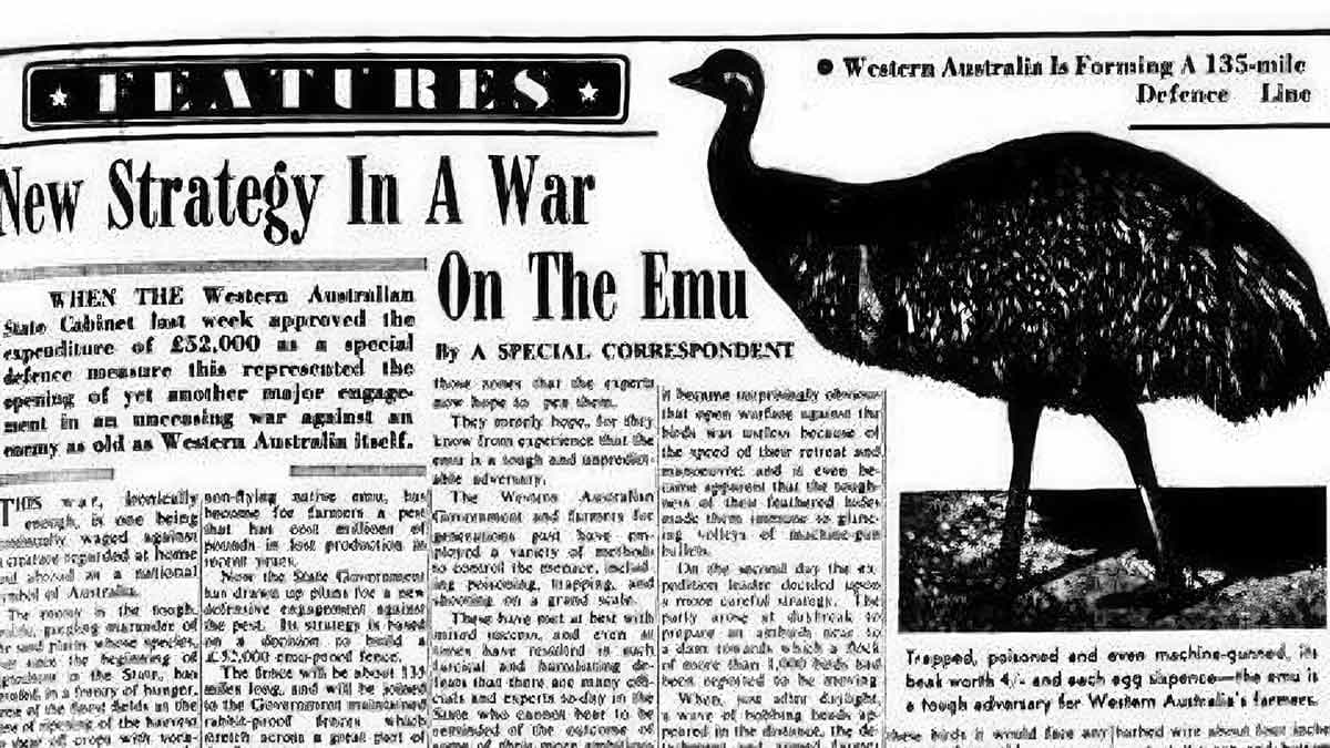 Fact Check: Australia lost a war to Emus