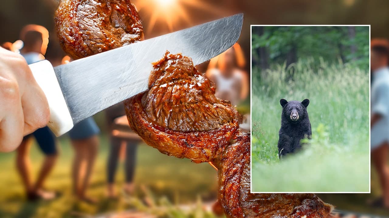 Fact Check: Bear meat should not be eaten
