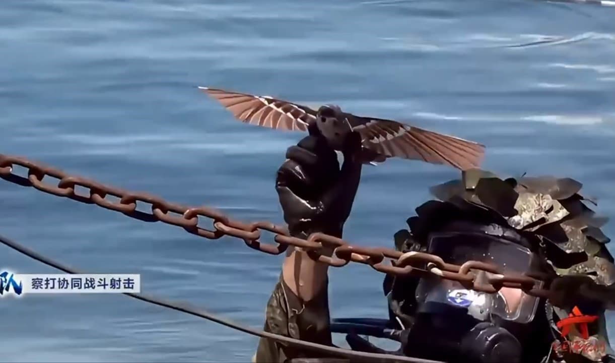Fact Check: Birds are drones