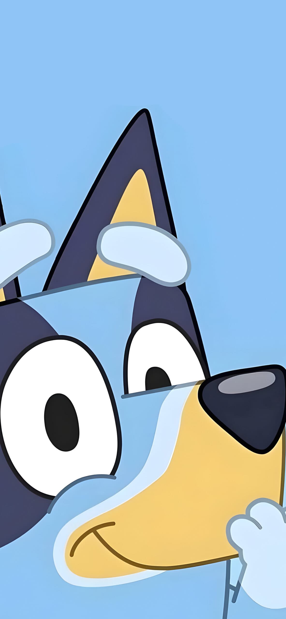 Fact Check: Bluey is adorable 