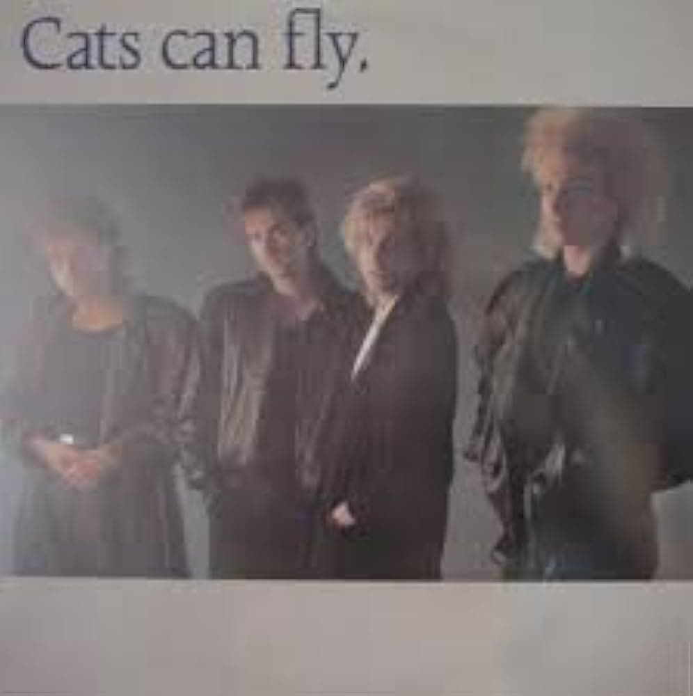 Fact Check: Cats can fly