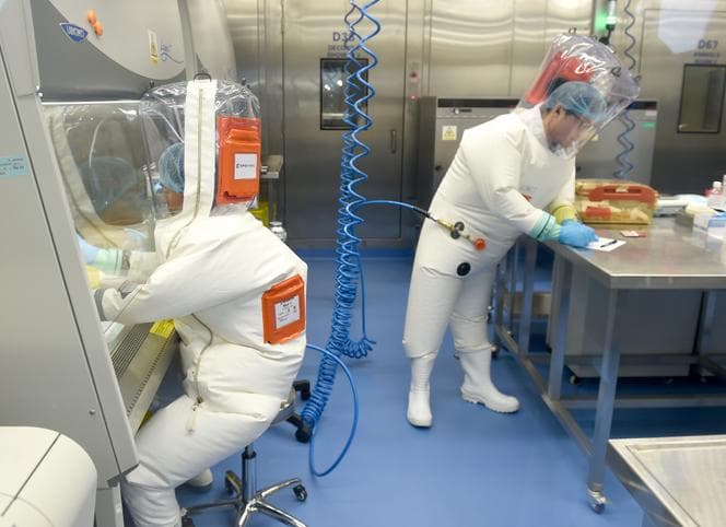 Fact Check: covid came from a lab in china