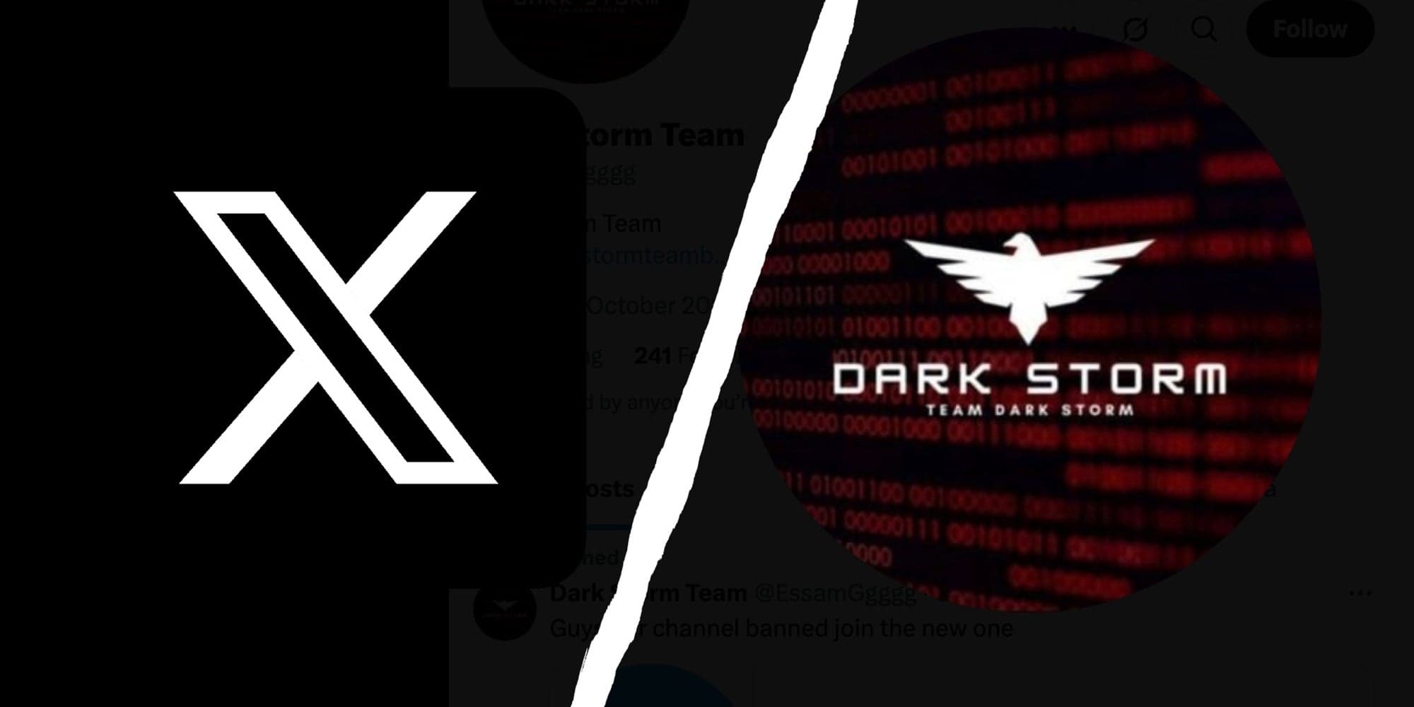 Fact Check: dark storm team make a token？
