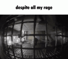 Fact Check: Despite all my rage, I am still just a rat in a cage.