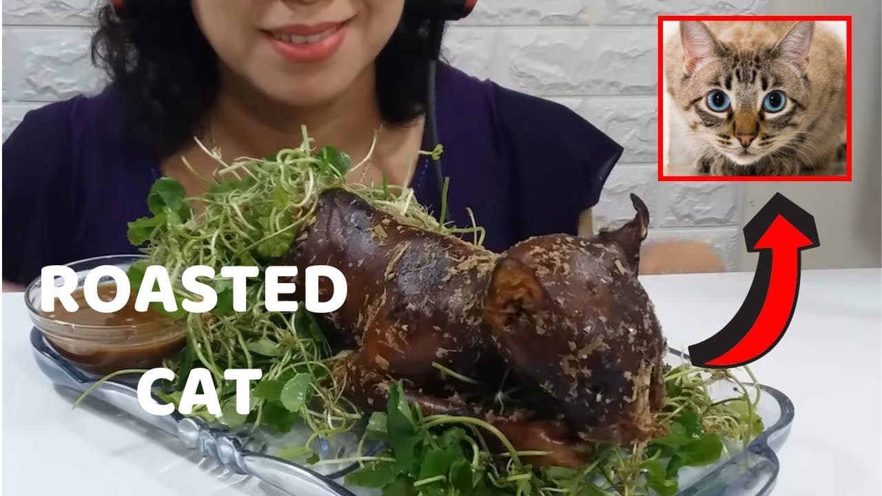 Fact Check: Did they eat cats?