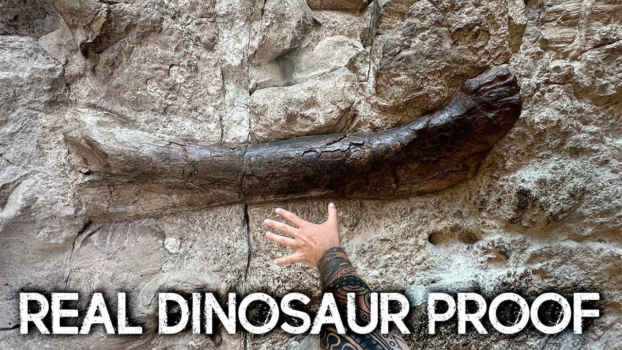 Fact Check: Dinosaurs are real