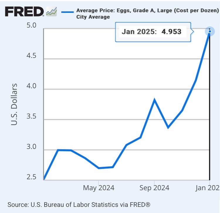 Fact Check: Eggs are cheaper on average